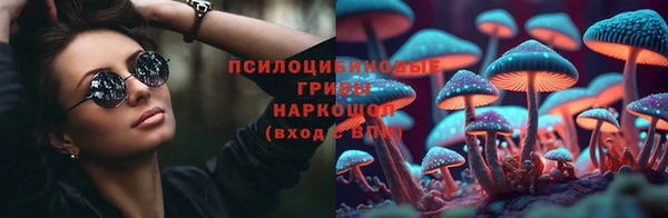 а пвп мука Михайлов