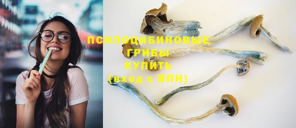 а пвп мука Михайлов
