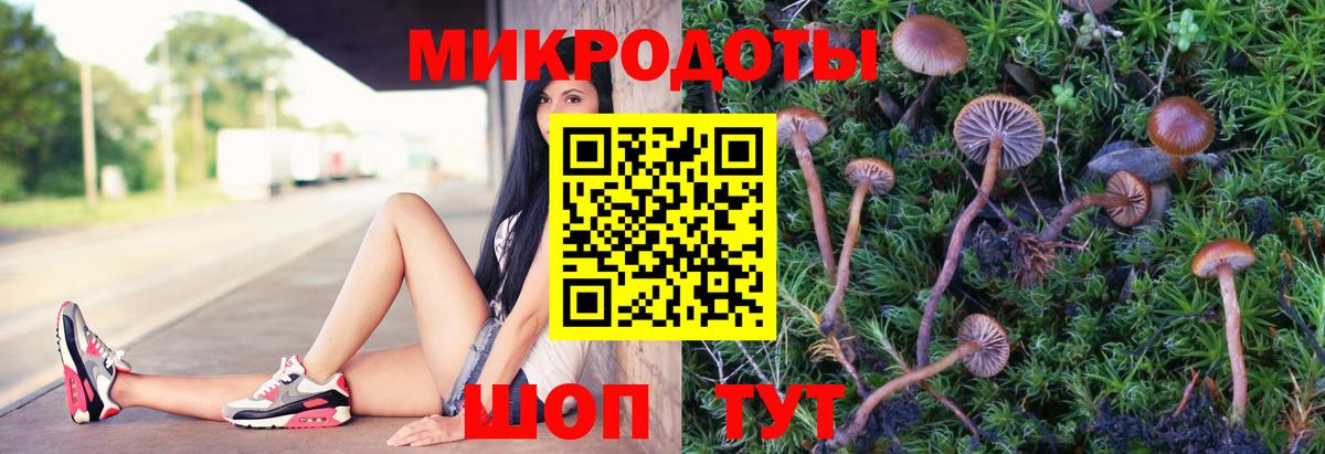 Псилоцибиновые грибы GOLDEN TEACHER Миллерово